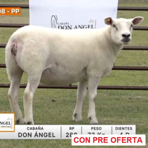 lote-08-don-angel_1510249647