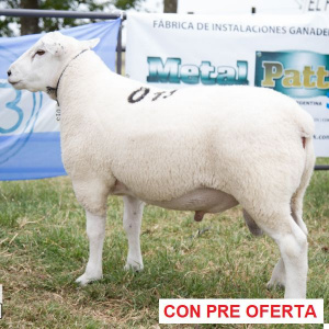 lote-12_1231686163