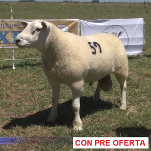 lote-4_676991804
