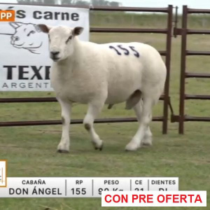 lote-57-don-angel_1929908889