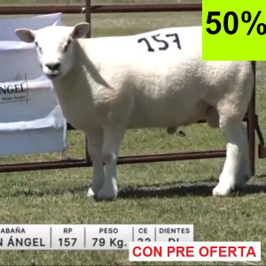 lote-58-don-angel-50_1005588567