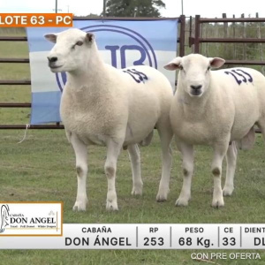lote-63-don-angel