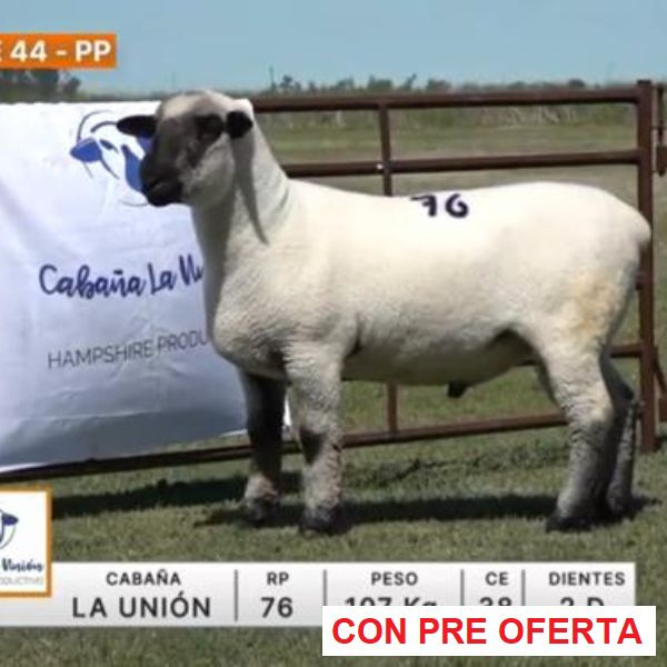 lote-44-la-union_2070091396