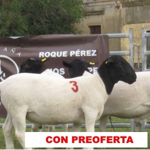 foto_rp_1-2-3_1018161593