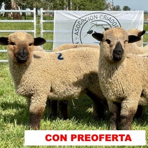 foto_rp_1-5-7-8-14_301255818