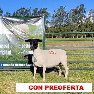 foto_rp_102_73252790