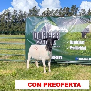 foto_rp_111_1136389587