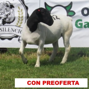 foto_rp_112_670427456