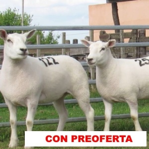 foto_rp_122_y_254_567587671