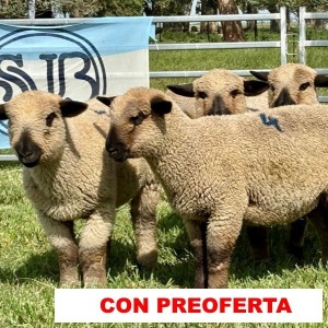 foto_rp_13-15-17-19-20_561748247