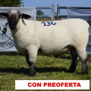 foto_rp_136_1773381251