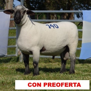 foto_rp_140_1711024437