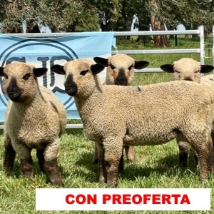 foto_rp_2-4-10-12-16_170478221