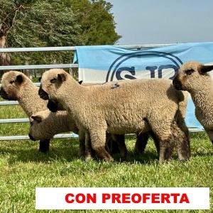 foto_rp_3-6-9-11-18_1471857334