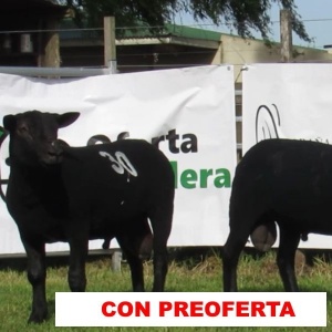 foto_rp_30_y_60_1968579611