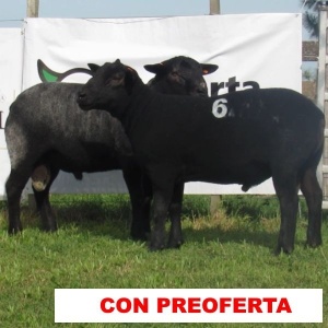 foto_rp_3_y_6_433191059