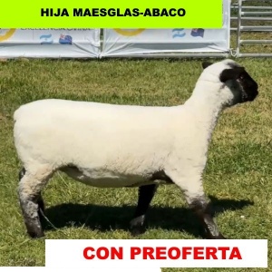 foto_rp_589_934037487