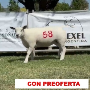 foto_rp_58_999186791