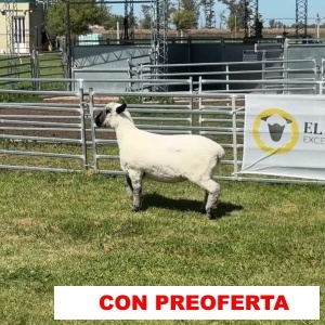 foto_rp_607_1517879895