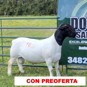 foto_rp_76_1010949847