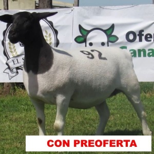 foto_rp_92_320027118