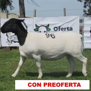 foto_rp_96_698312034