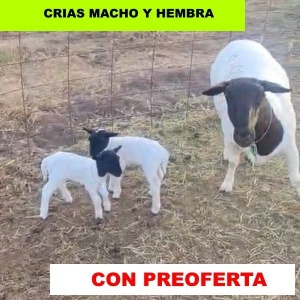 foto_rp_b102-2_2120794922