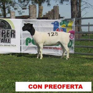 foto_rp_b128_352781457