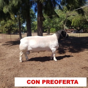 foto_rp_b5_1238391311