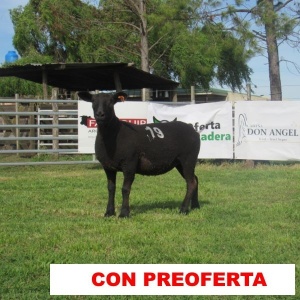 foto_rp_s19n_313030695