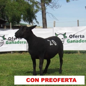 foto_rp_s20n_1489214095