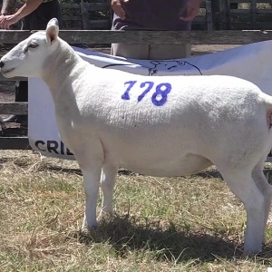 lote04-rp198_-_frame_at_0m11s