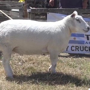 lote05-rp613_-_frame_at_0m0s