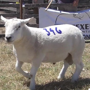 lote20-rp346_-_frame_at_0m12s