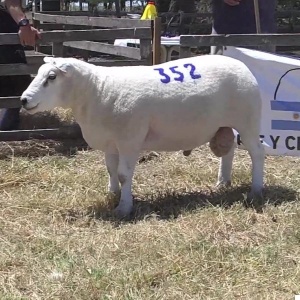 lote21-rp352_-_frame_at_0m0s