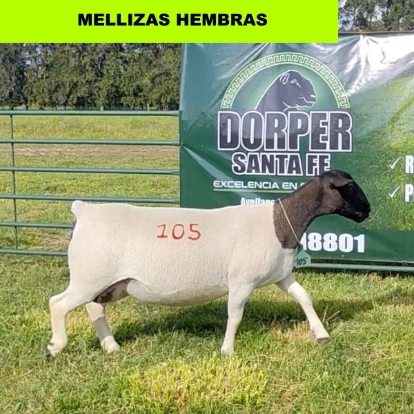 foto_rp_105_793257679