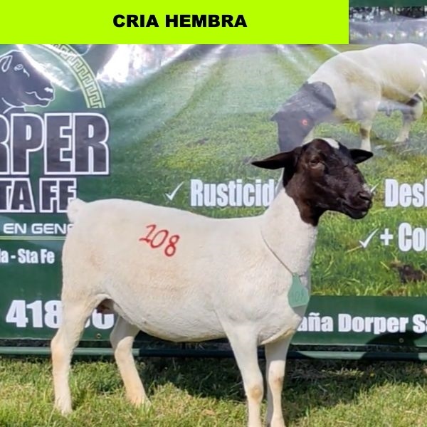 foto_rp_108_1016960090