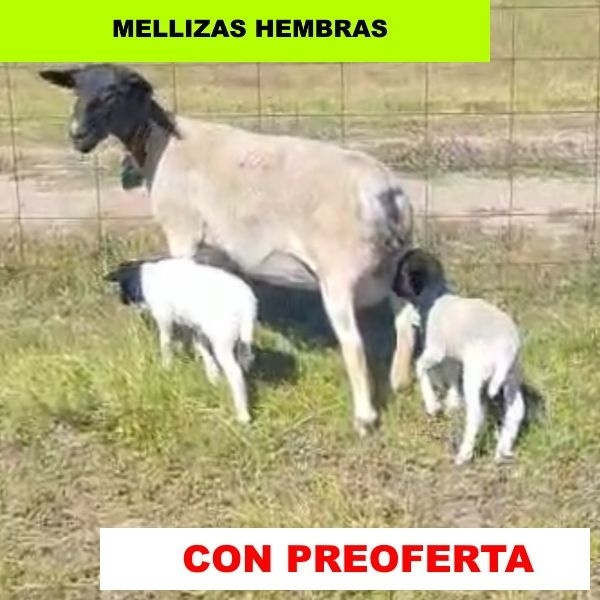 foto_rp_109-2_134557852