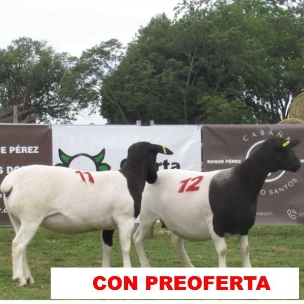 foto_rp_11-12_1616514173