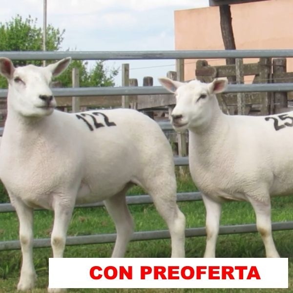 foto_rp_122_y_254_567587671