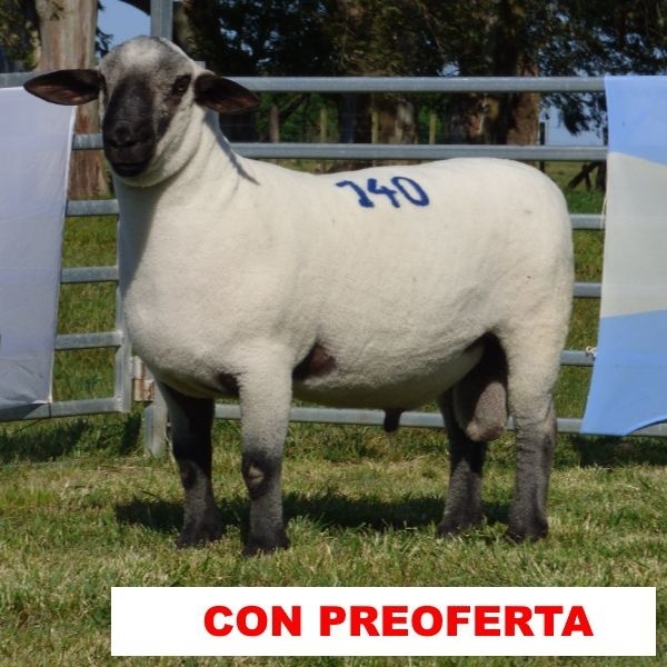 foto_rp_140_1711024437