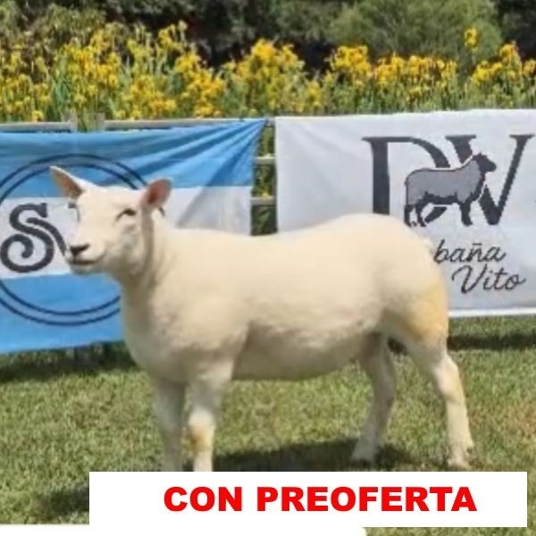 foto_rp_16_779198327