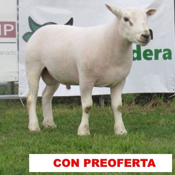 foto_rp_184_1373811145