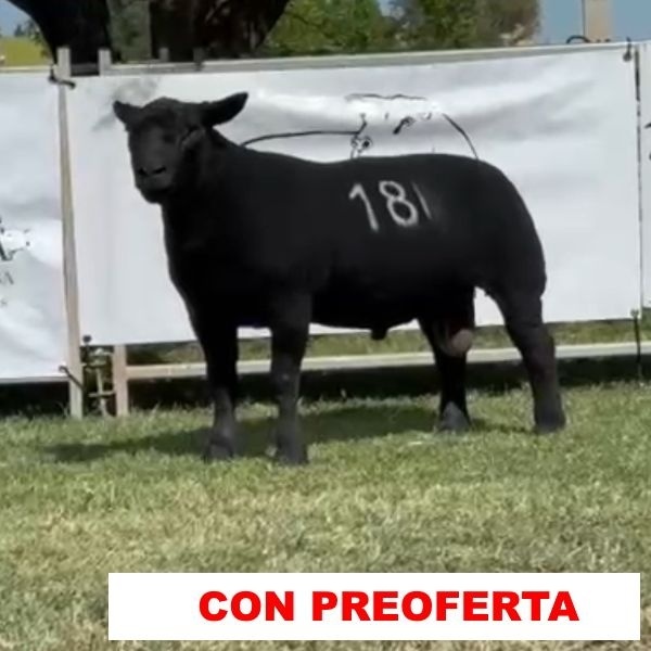 foto_rp_18_101291172