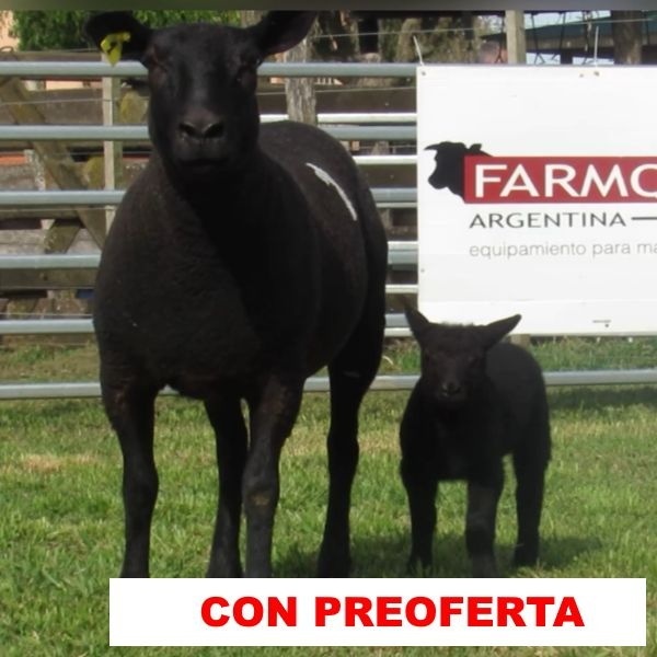 foto_rp_1_1446323764