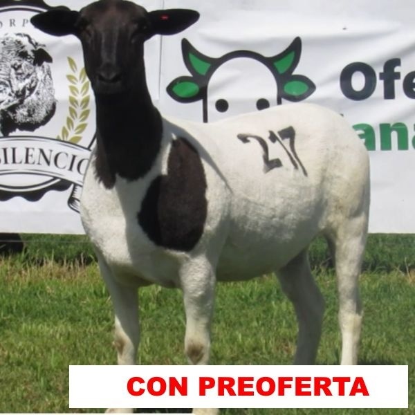 foto_rp_217_762969476