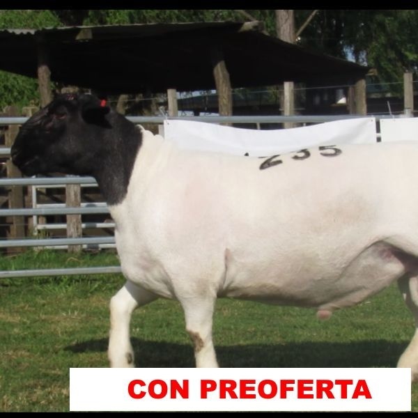 foto_rp_235_899290897