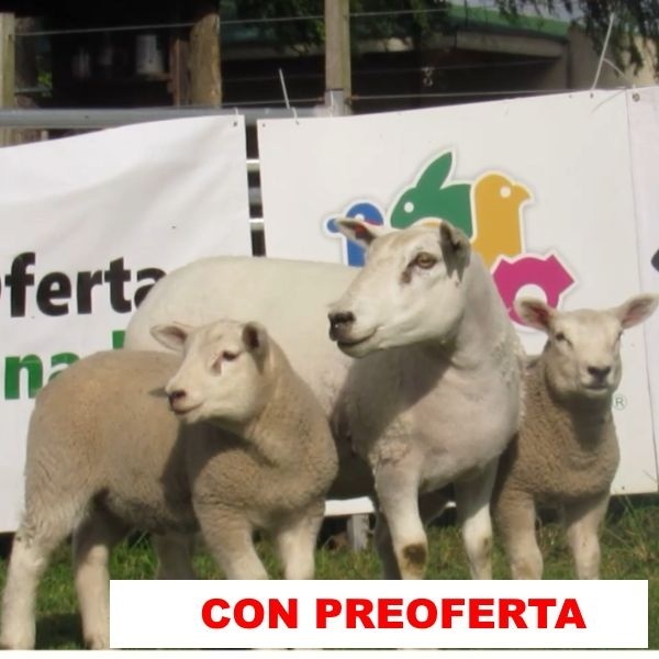 foto_rp_244_1440932675