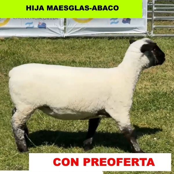 foto_rp_589_934037487