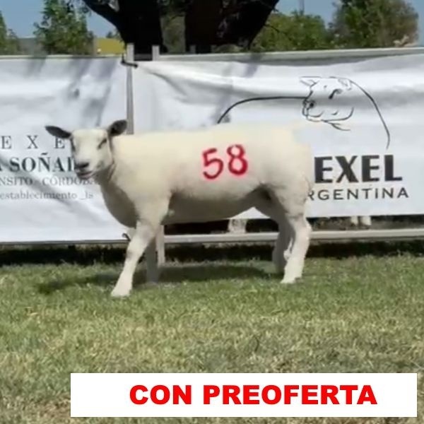 foto_rp_58_999186791